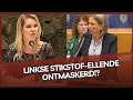 Download Lagu BBB-minister Wiersma krijgt over stikstof-zeurende Bromet op haar dak! 