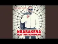 Download Lagu Nkabakena (feat. Theo Kgosinkwe)