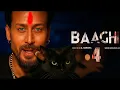 Lagu Baaghi 4 Full Movie Tiger Shroff New Hindi Action Movie 2025 Tiger, Triptii Dimri, Sanjay Dutt
