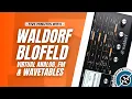 5 MINUTES WITH The Surprisingly Capable Waldorf Blofeld Synthesizer
