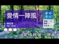 愛情一陣風~陳百潭~男Em調~伴奏~導唱甲