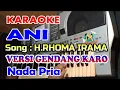 Download Lagu KARAOKE ANI_H.RHOMA IRAMA VERSI LANGGAM KARO NADA PRIA