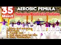 Lagu 35 MENIT SENAM AEROBIC PEMULA | CINTA DARI SEBERANG DAN LAGU LAGU VIRAL LAINNYA | Irna Chendani