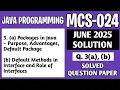 P6 - 3 a b MCS024 June 2025 Solution MCS 024 Solved Question Paper Mcs24 Important Question