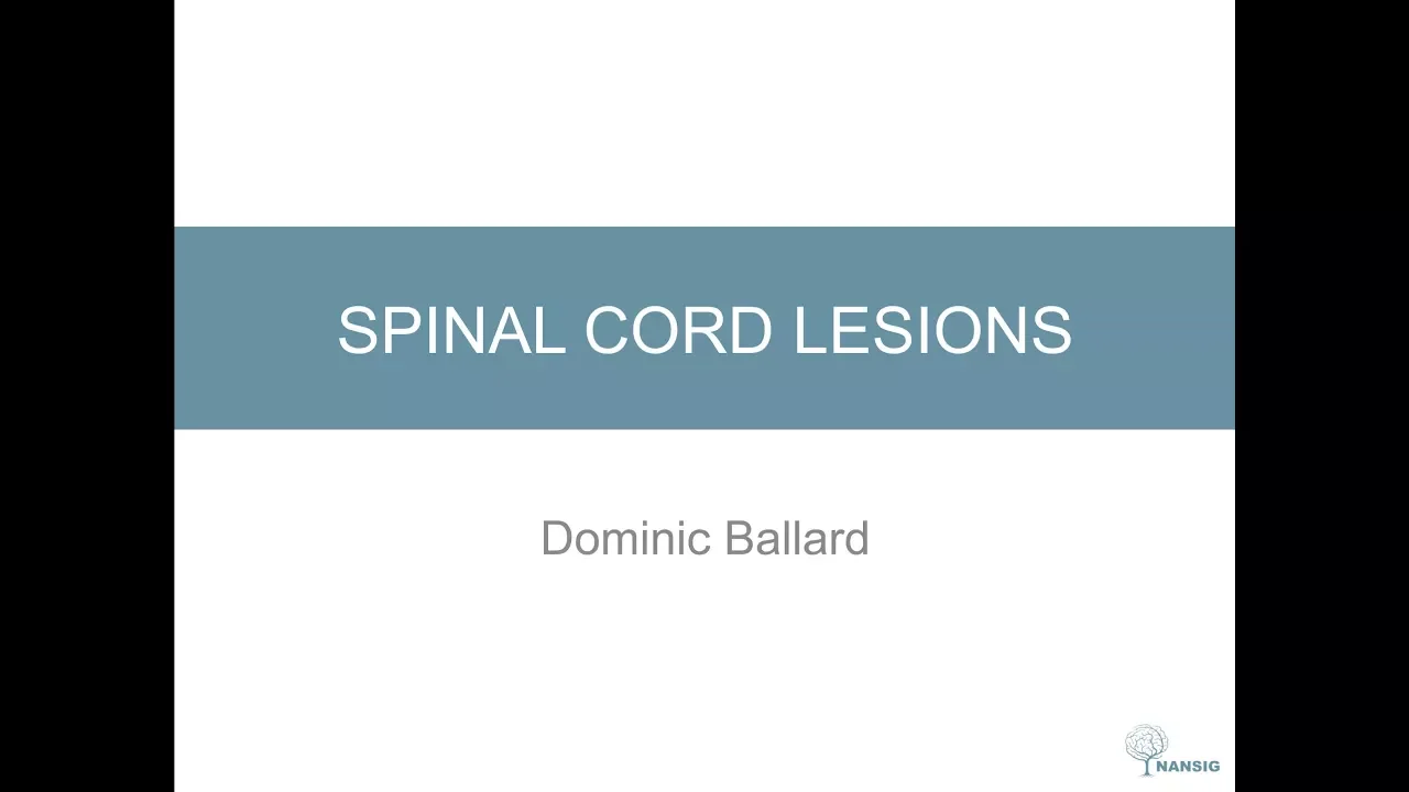 Spinal Cord Lesions