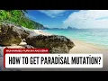 Download Lagu Hoe krijg je een paradijselijke mutatie? Slimme strategieën om snel een paradijselijke mutatie te...