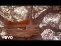The Backseat Lovers - Morning in the Aves
