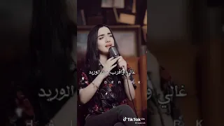 البنت التركيه تغني حبيبي بالبنط العريض 
