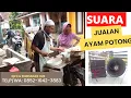 Download Lagu AMPLI TOA JUALAN KELILING AYAM AYAM, Telp/Wa: 0852-1042-3883, speaker jualan keliling
