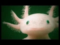 Psicodelia en el Mar - Comming soon !!! September 7th
