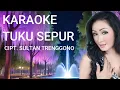 Lagu KARAOKE TUKU SEPUR NUNUNG ALVI FT TRENGGONO
