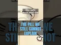 Acetaminophen The Pill We Still Cannot Explain Catalyst