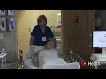 Transesophageal Echocardiogram TEE