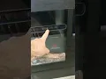 How to Use the Electric Fireplace
