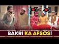 Download Lagu 🐐 Bakri Gum Hogayi To Pura Muhalla Afsos Karny Aagya 😂 | Hindi/Urdu