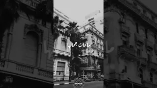 ام كلثوم كان لك معايا حالات واتس اضغط اشتراك 