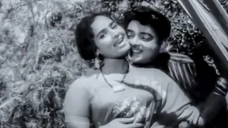 harinath kr vijaya superhit song rasanu premalekhalenno song sridevi movie video songs