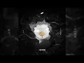 Download Lagu Avicii ft. Rita Ora - Lonely Together (Official Audio)