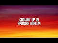 MARIA MARIA (Lyrics) - TECH IT DEEP