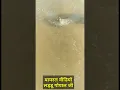 Download Lagu viral Laddu Gopal Ji #shorts