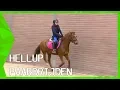 Download Lagu Hellup Paardrijden met Jeroen Dubbeldam | ZAPPSPORT