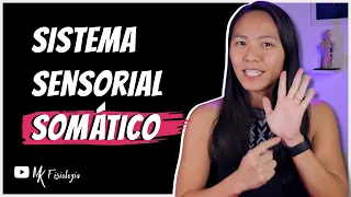 SISTEMA SENSORIAL SOMÁTICO (SOMATOSSENSORIAL): TATO E TEMPERATURA | MK Fisiologia