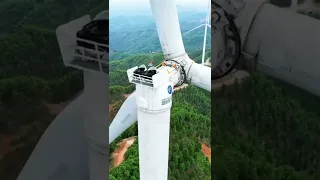 توربينات الرياح العملاقة Shorts 