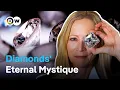 Diamond Fever: The Glittering Truth Behind the World's Most Desired Gem