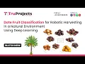 Date Fruit Classification for Robotic Harvesting in a Natural Environment Using Deep Learning