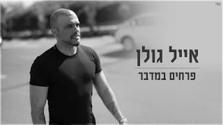 אייל גולן פרחים במדבר 