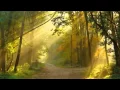 Download Lagu Hymne der liefde
