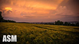 Dramatic Emotional Background Music For Videos And Films By AShamaluevMusic  Dramatic Emotional Background Music For Videos And Films By AShamaluevMusic