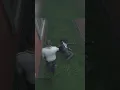 Hal Random GTA V