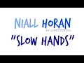 SLOW HANDS - NIALL HORAN LYRICS