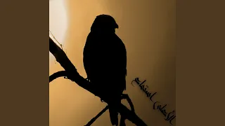 عزيز النفس دندنها