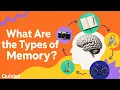 Types of Memory Explained Short-Term Working and Long-Term Memory