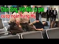 Download Lagu Ch,ấ,n đ,ộ,ng, Việt kiều c,ả g,a,n c,ư,ớ,p ng,ân h,à,ng Mỹ