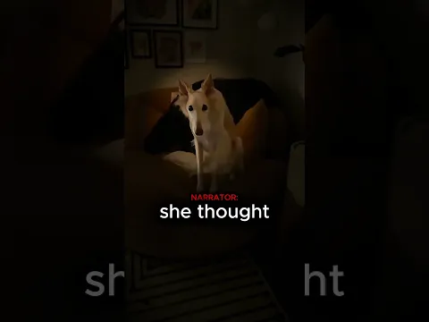 Her Dog Had an EXACT Copy Outside…