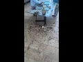 Download Lagu Ze hebben hun eigen feestje gebouwd want het duurde te lang blijkbaar😂😂  TT/ destinoeee Volg @