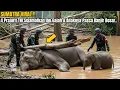 Lagu Banjir Sumatra Buka Rahasia Besar! Gajah Ajak Prajurit TNI ke Bunker Berisi Puluhan Orang!