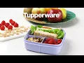 Tupperware Divided Lunch Box Sq 550 ml