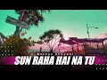 Download Lagu Sun Raha Hai Na Tu x India Mashup Terena ( DJ Topeng Remix )