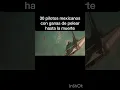 Download Lagu El escuadrón 201 #history #edit #segundaguerramudial#méxico