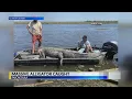 Hunters Bag Huge Gator in Pascagoula