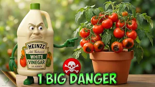 1 Big Danger of Using Vinegar in Gardening & 9 Genius Uses