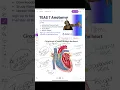 TEAS 7 HESI A2 Anatomy Review Session 10 5 25