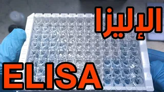 Theoretical And Practical Explanation Of The ELISA Technique Enzyme Linked Immunosorbent Assay 