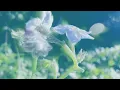 newdemo - Soccer Mommy