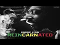 Snoop Lion - Tired Of Running (Feat. Akon) CDQ
