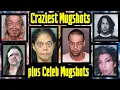 Craziest Mugshots Plus Celebrity Mugshots